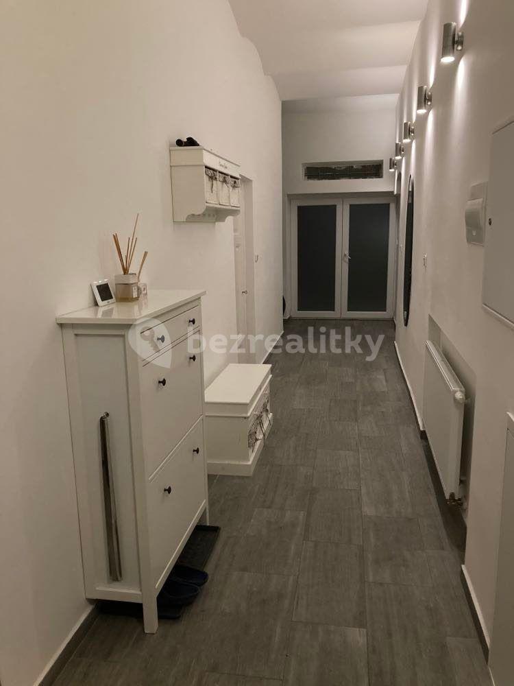 1 bedroom with open-plan kitchen flat to rent, 42 m², Netušilova, Brno, Jihomoravský Region