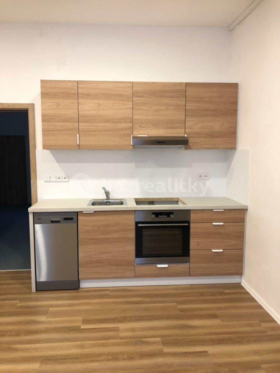 1 bedroom with open-plan kitchen flat to rent, 42 m², Netušilova, Brno, Jihomoravský Region