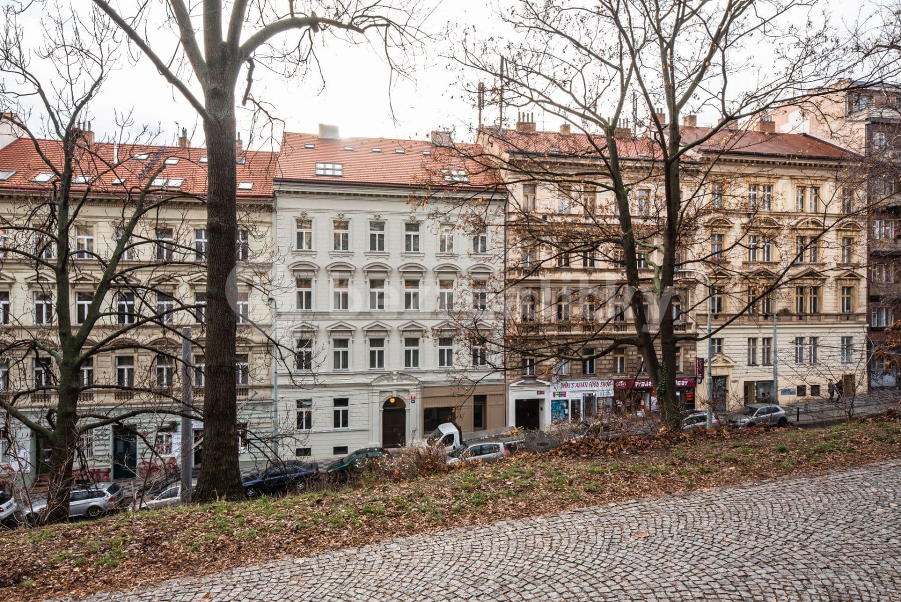 1 bedroom with open-plan kitchen flat to rent, 99 m², Francouzská, Prague, Prague 1 bedroom with open-plan kitchen flat to rent, 99 m², Francouzská, Prague, Prague