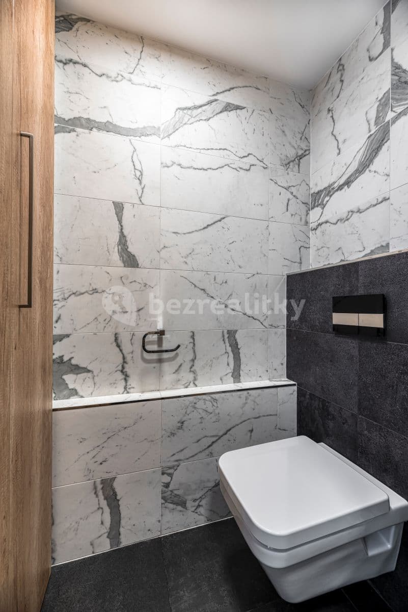 1 bedroom with open-plan kitchen flat to rent, 99 m², Francouzská, Prague, Prague 1 bedroom with open-plan kitchen flat to rent, 99 m², Francouzská, Prague, Prague