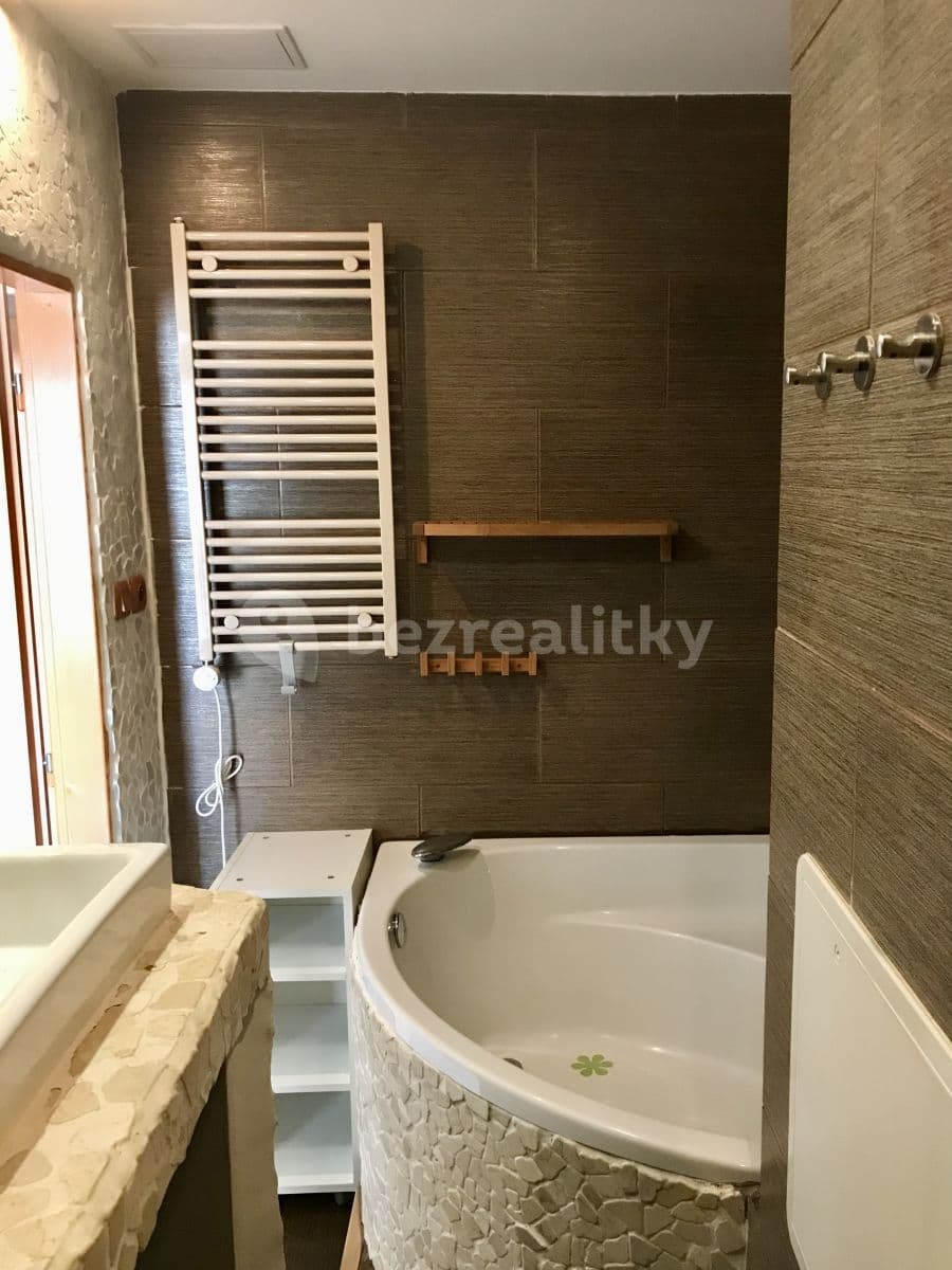 1 bedroom with open-plan kitchen flat to rent, 50 m², Levského, Prague, Prague 1 bedroom with open-plan kitchen flat to rent, 50 m², Levského, Prague, Prague