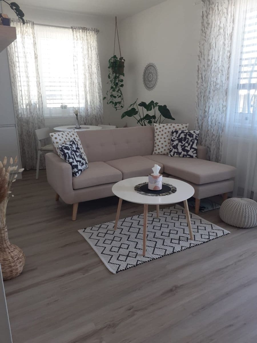 1 bedroom with open-plan kitchen flat to rent, 66 m², Želetická, Prague, Prague 1 bedroom with open-plan kitchen flat to rent, 66 m², Želetická, Prague, Prague