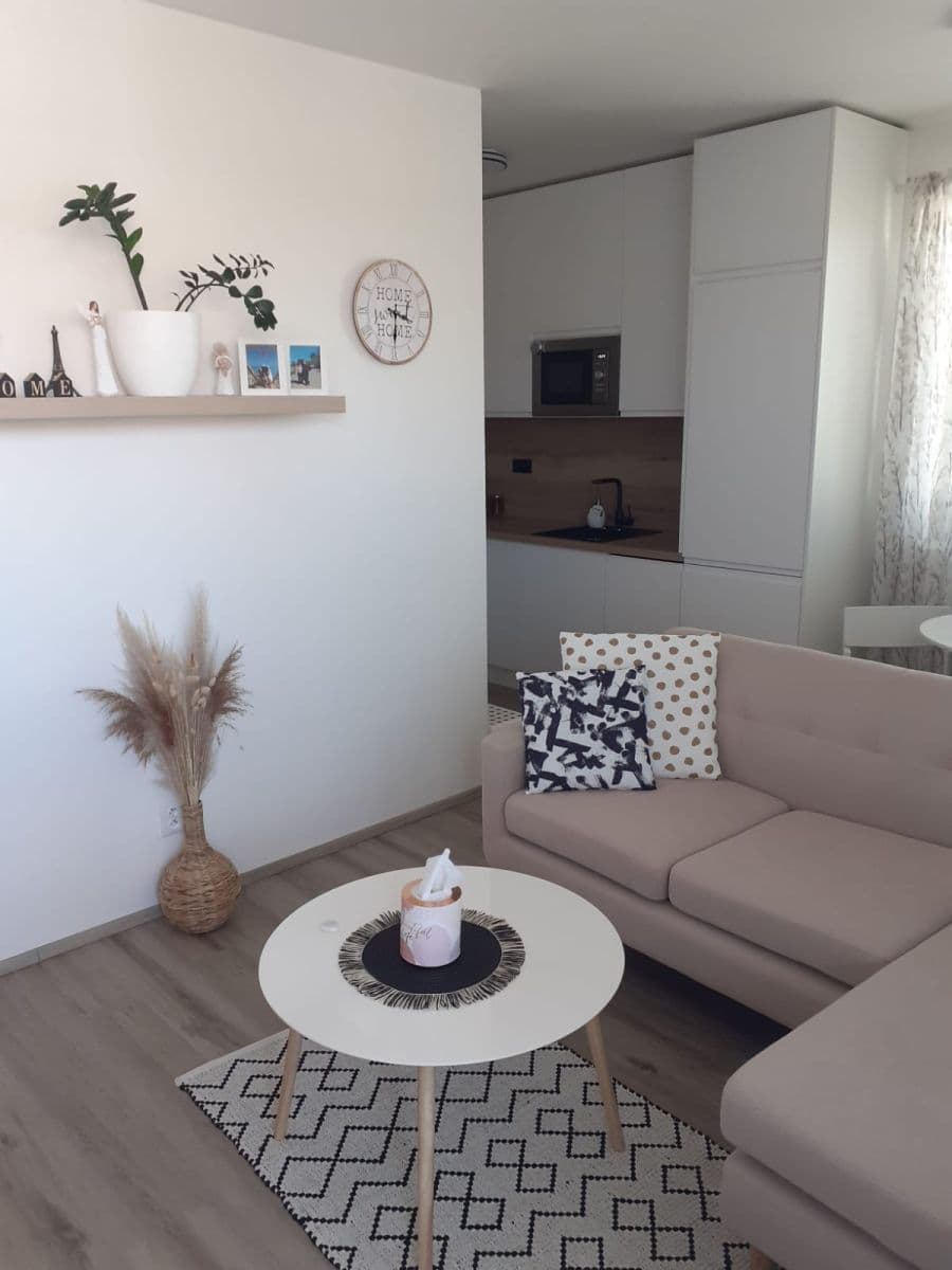1 bedroom with open-plan kitchen flat to rent, 66 m², Želetická, Prague, Prague 1 bedroom with open-plan kitchen flat to rent, 66 m², Želetická, Prague, Prague
