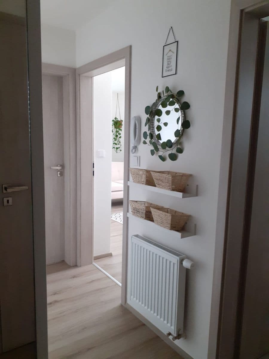 1 bedroom with open-plan kitchen flat to rent, 66 m², Želetická, Prague, Prague 1 bedroom with open-plan kitchen flat to rent, 66 m², Želetická, Prague, Prague