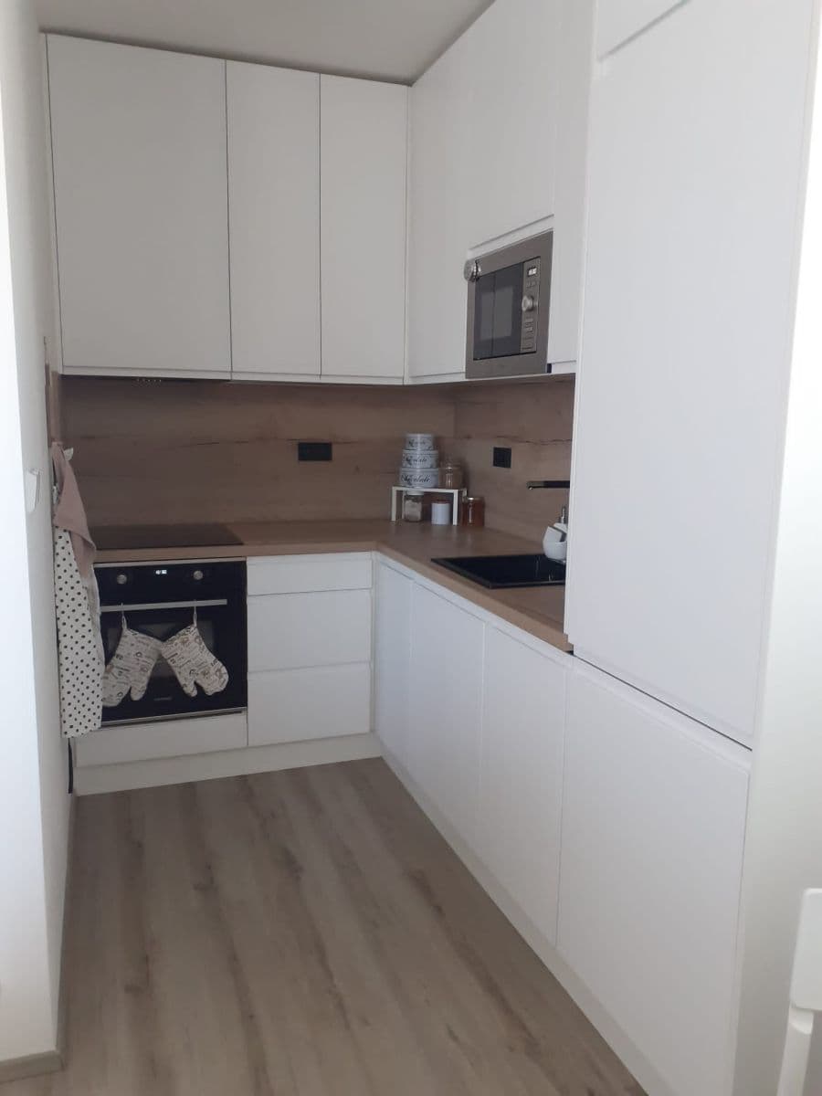 1 bedroom with open-plan kitchen flat to rent, 66 m², Želetická, Prague, Prague 1 bedroom with open-plan kitchen flat to rent, 66 m², Želetická, Prague, Prague