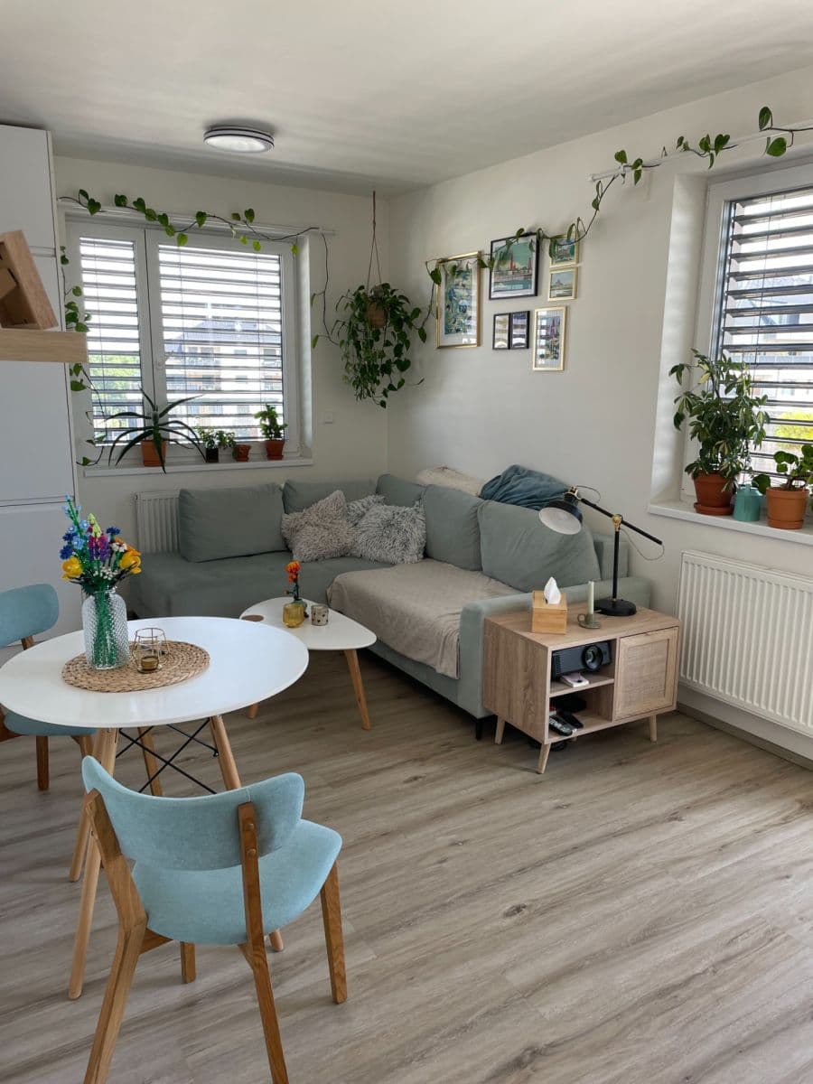 1 bedroom with open-plan kitchen flat to rent, 66 m², Želetická, Prague, Prague 1 bedroom with open-plan kitchen flat to rent, 66 m², Želetická, Prague, Prague