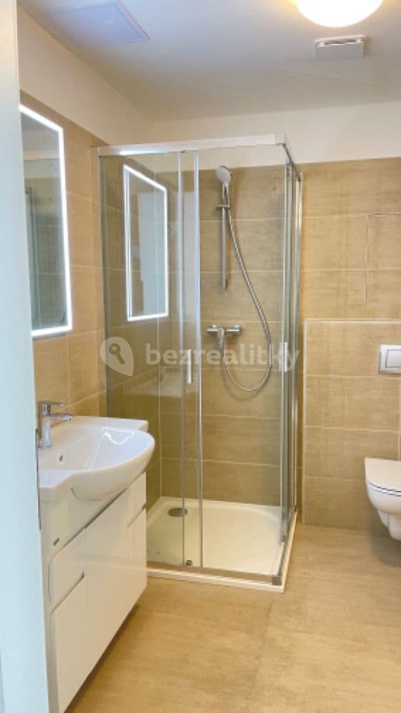 1 bedroom with open-plan kitchen flat to rent, 55 m², Jetelová, Plzeň, Plzeňský Region 1 bedroom with open-plan kitchen flat to rent, 55 m², Jetelová, Plzeň, Plzeňský Region