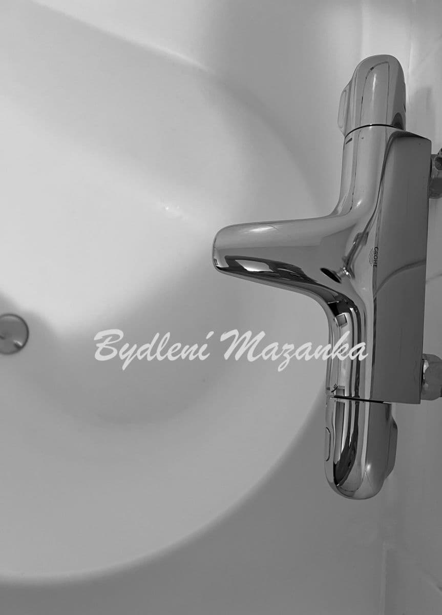 2 bedroom with open-plan kitchen flat for sale, 94 m², Nad Okrouhlíkem, Prague, Prague 2 bedroom with open-plan kitchen flat for sale, 94 m², Nad Okrouhlíkem, Prague, Prague