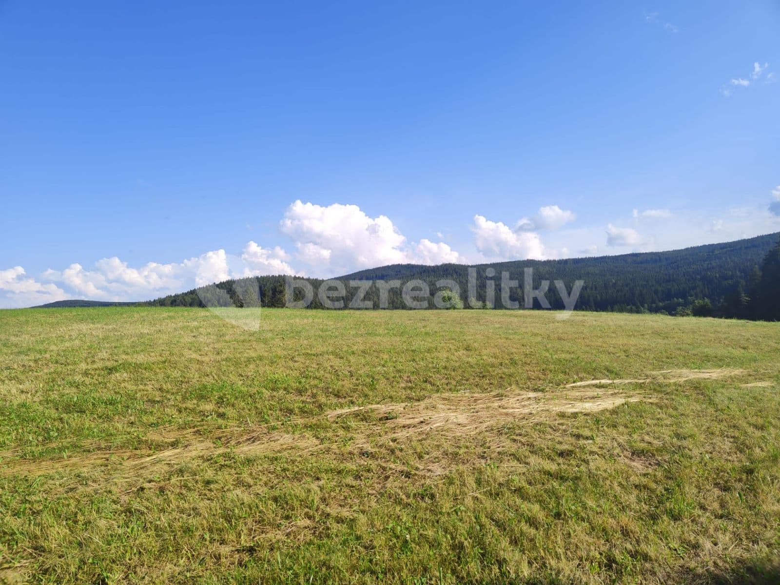 plot for sale, 7,699 m², Zdíkov, Jihočeský Region