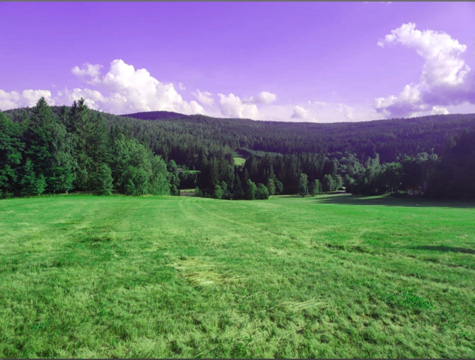 plot for sale, 7,699 m², Zdíkov, Jihočeský Region plot for sale, 7,699 m², Zdíkov, Jihočeský Region