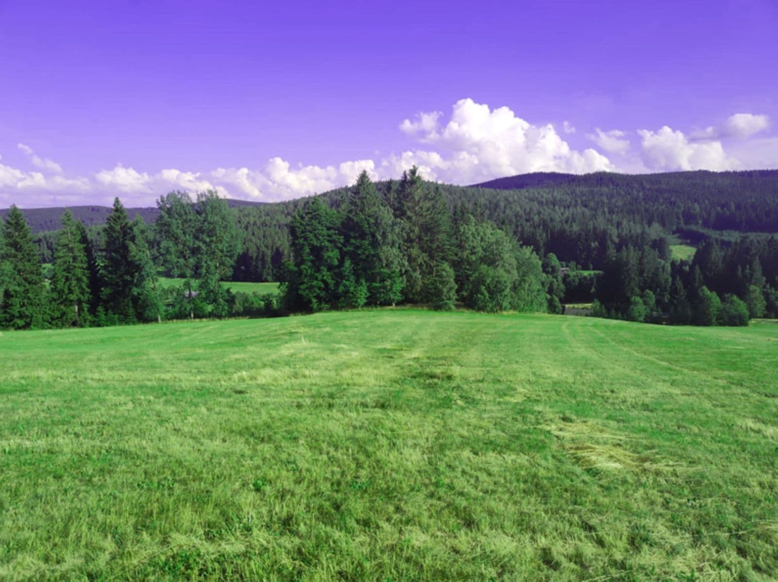 plot for sale, 7,699 m², Zdíkov, Jihočeský Region plot for sale, 7,699 m², Zdíkov, Jihočeský Region