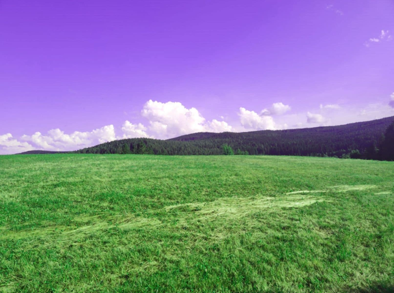 plot for sale, 7,699 m², Zdíkov, Jihočeský Region plot for sale, 7,699 m², Zdíkov, Jihočeský Region