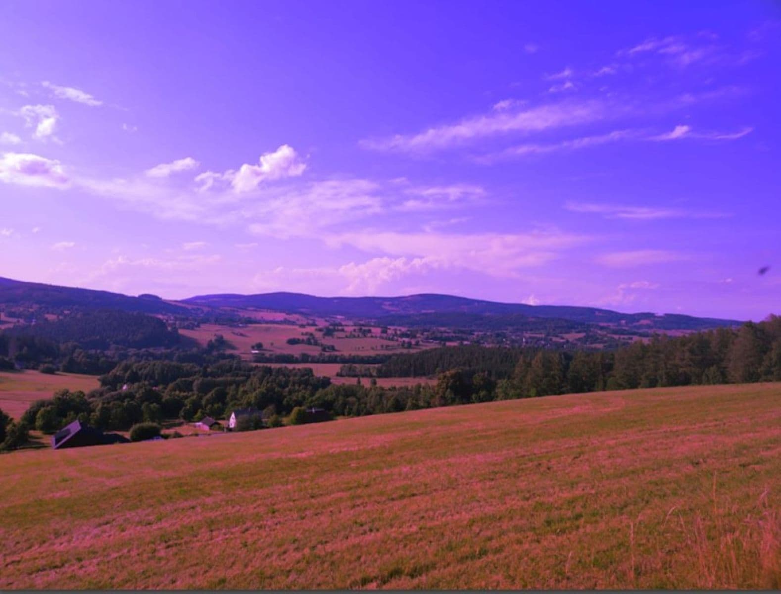 plot for sale, 7,699 m², Zdíkov, Jihočeský Region plot for sale, 7,699 m², Zdíkov, Jihočeský Region