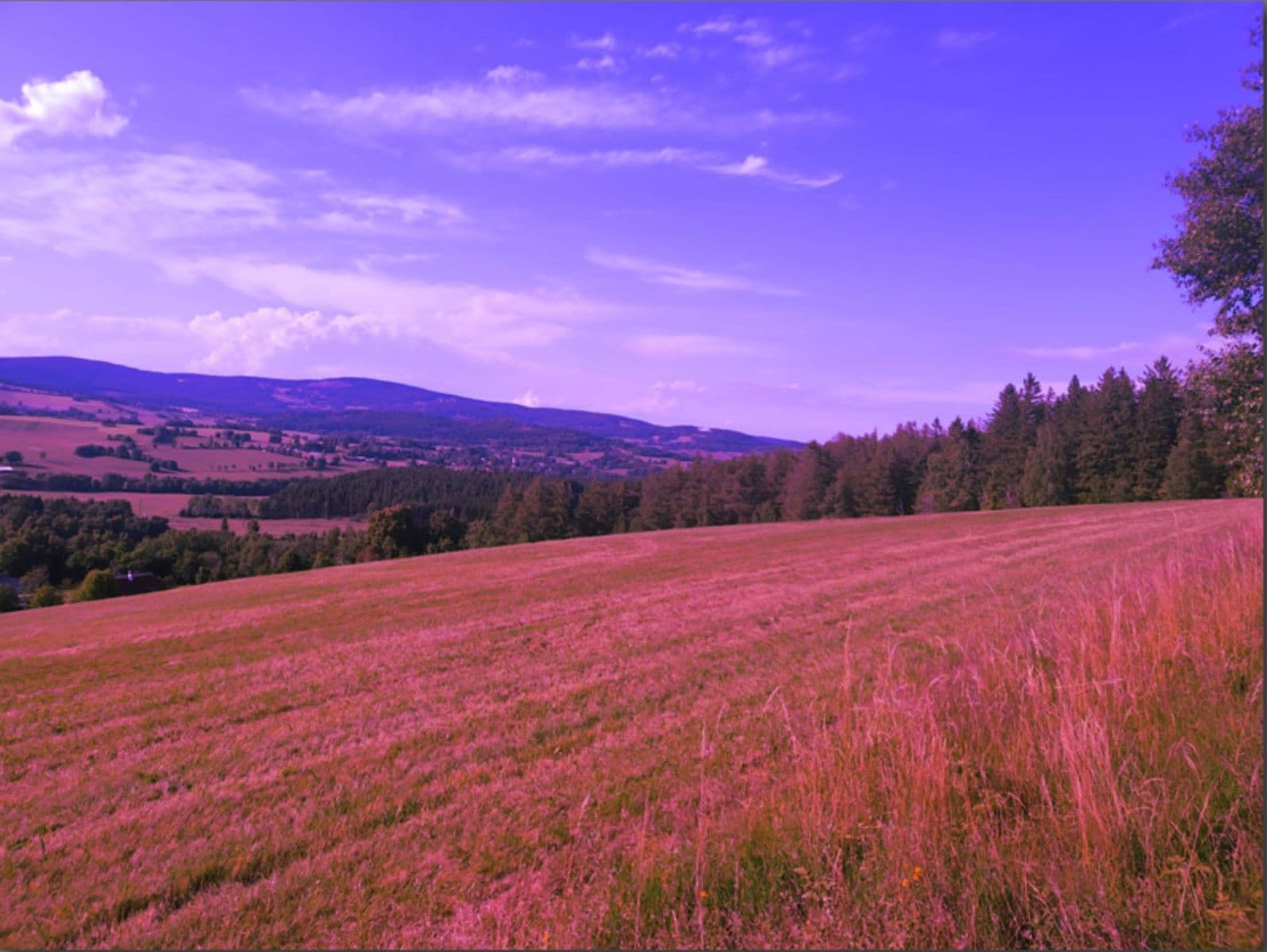 plot for sale, 7,699 m², Zdíkov, Jihočeský Region plot for sale, 7,699 m², Zdíkov, Jihočeský Region