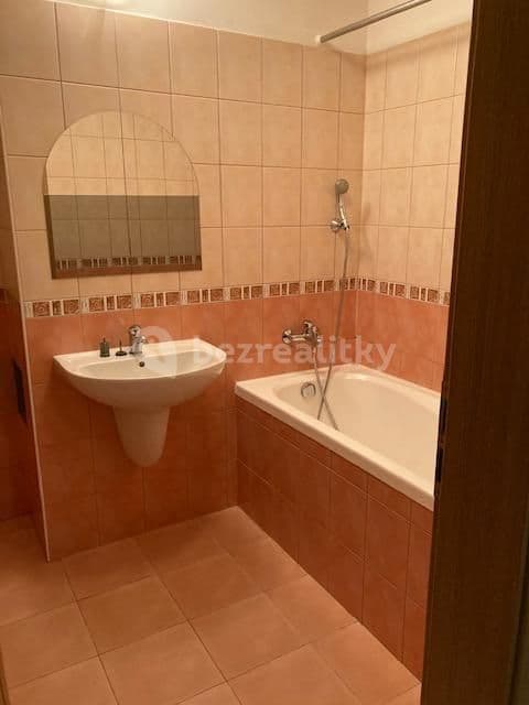 1 bedroom with open-plan kitchen flat to rent, 62 m², Přeštická, Prague, Prague 1 bedroom with open-plan kitchen flat to rent, 62 m², Přeštická, Prague, Prague