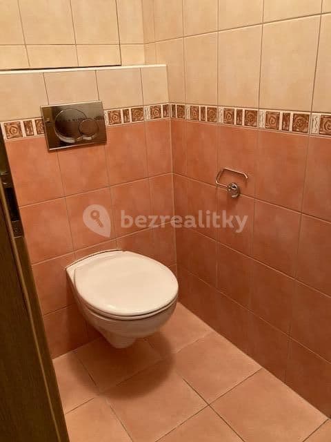 1 bedroom with open-plan kitchen flat to rent, 62 m², Přeštická, Prague, Prague 1 bedroom with open-plan kitchen flat to rent, 62 m², Přeštická, Prague, Prague
