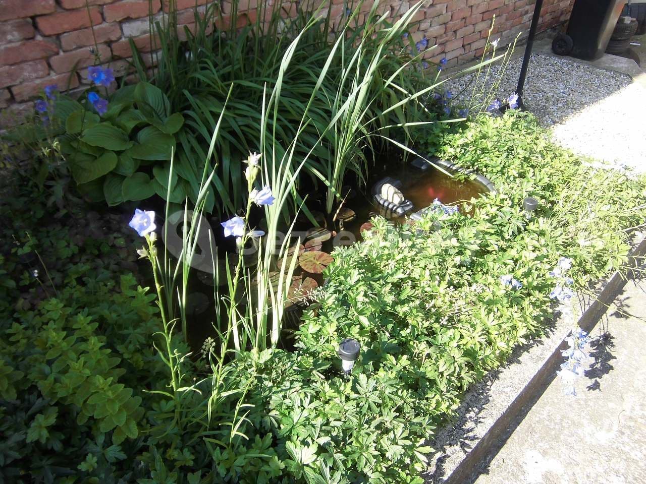 recreational property to rent, 0 m², Šakvice, Jihomoravský Region recreational property to rent, 0 m², Šakvice, Jihomoravský Region