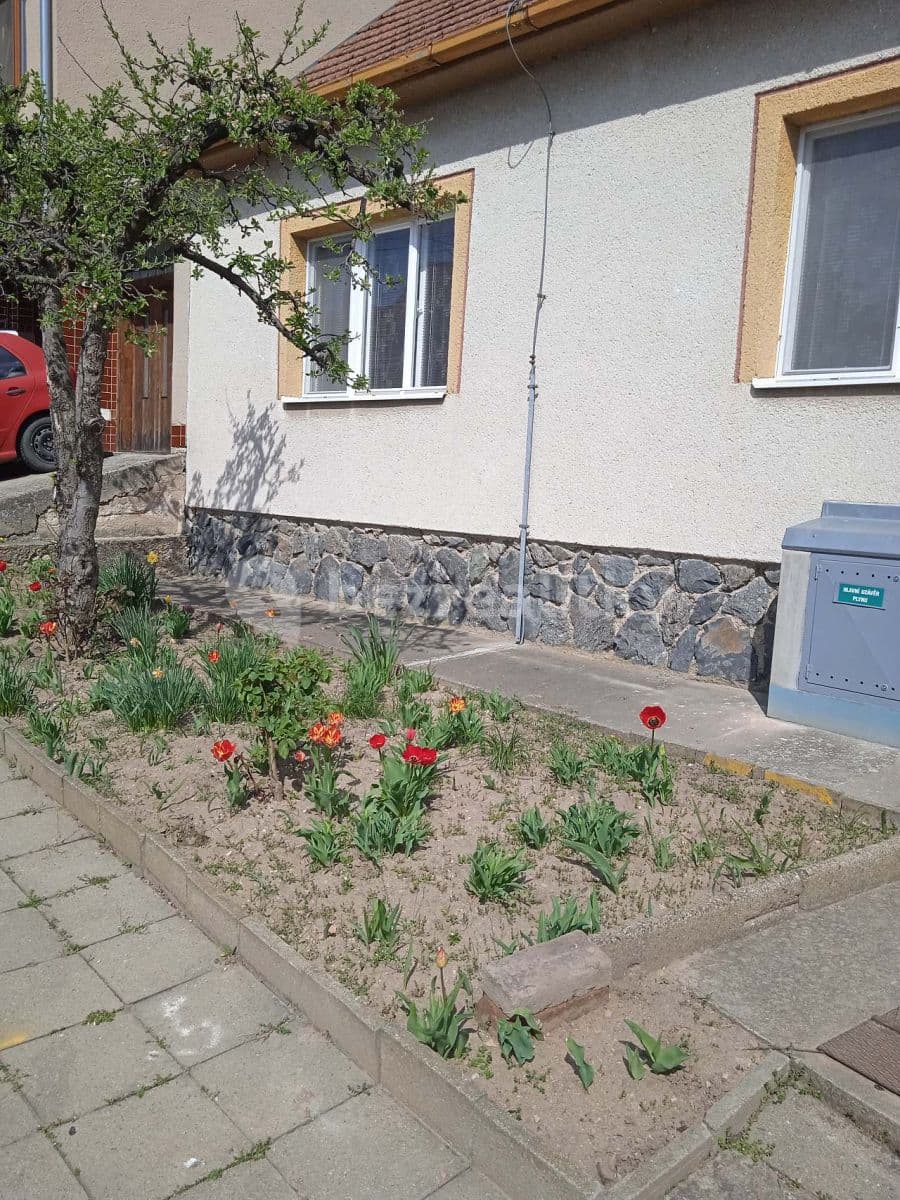 recreational property to rent, 0 m², Šakvice, Jihomoravský Region recreational property to rent, 0 m², Šakvice, Jihomoravský Region