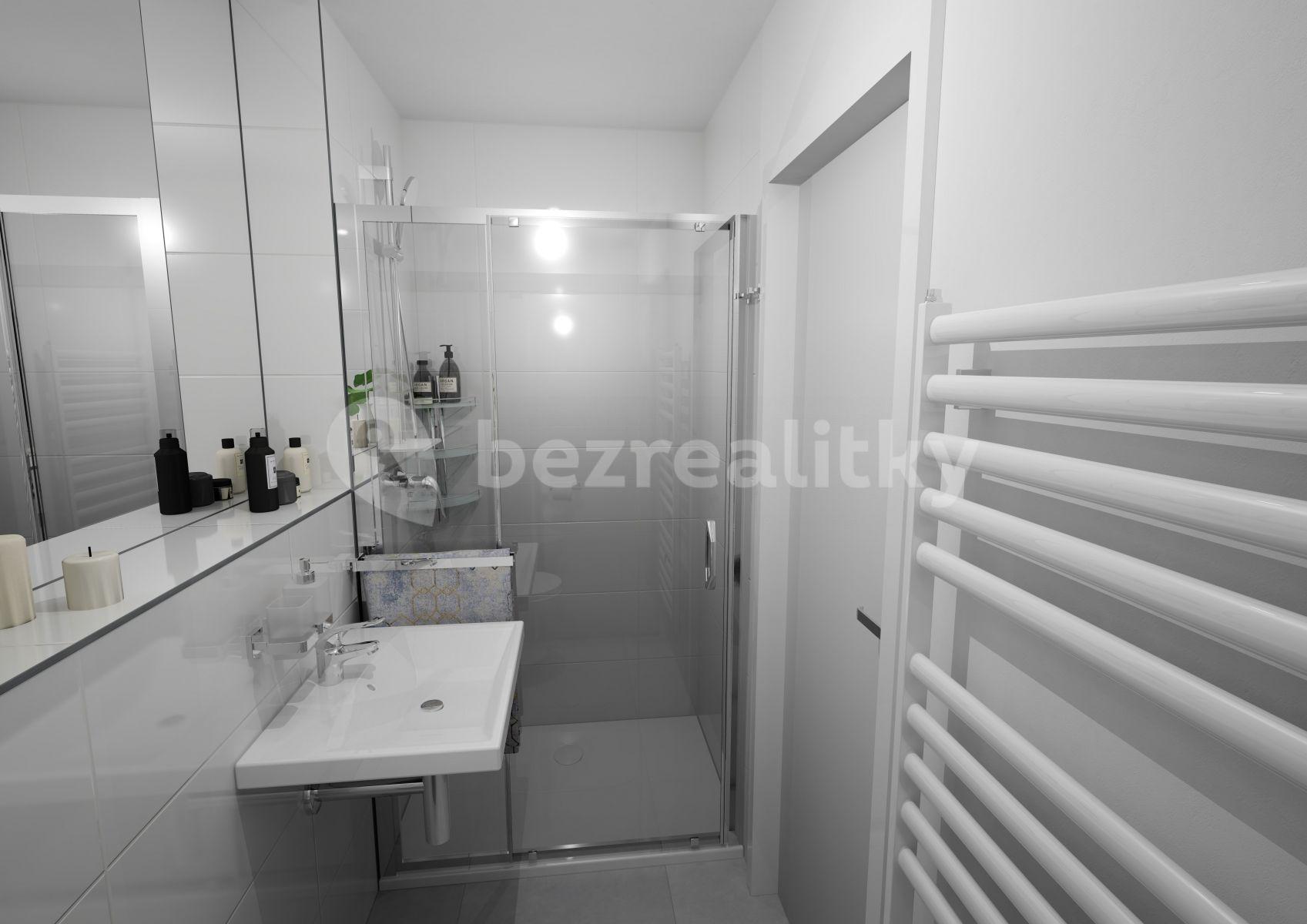 1 bedroom with open-plan kitchen flat for sale, 46 m², Čenětická, Prague, Prague