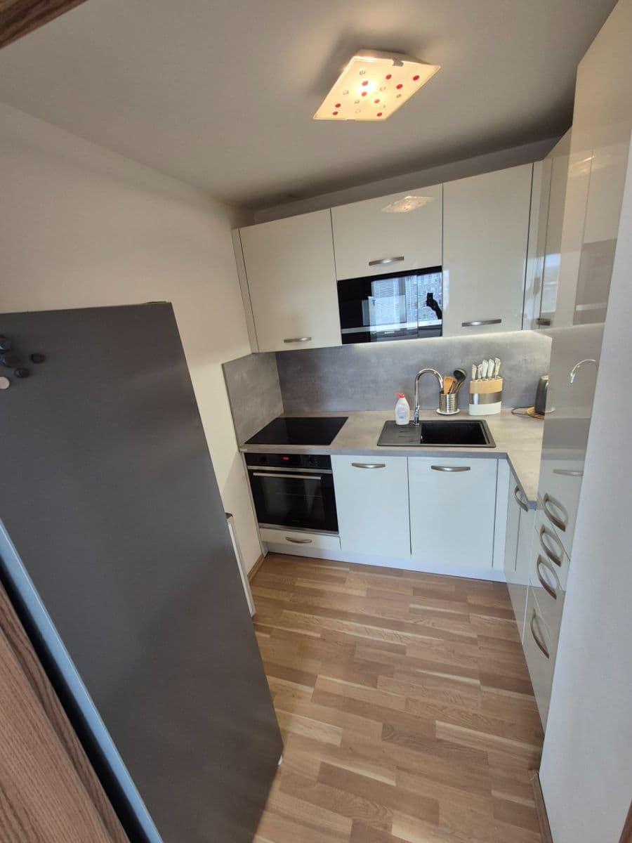 1 bedroom with open-plan kitchen flat to rent, 43 m², Strašnická, Prague, Prague 1 bedroom with open-plan kitchen flat to rent, 43 m², Strašnická, Prague, Prague