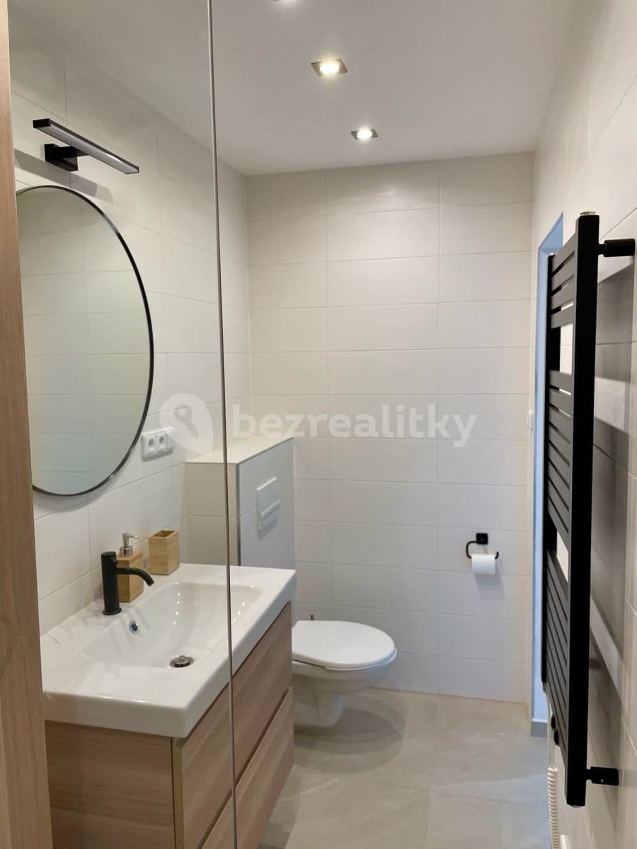 1 bedroom with open-plan kitchen flat to rent, 75 m², Na Výsluní, Králův Dvůr, Středočeský Region 1 bedroom with open-plan kitchen flat to rent, 75 m², Na Výsluní, Králův Dvůr, Středočeský Region