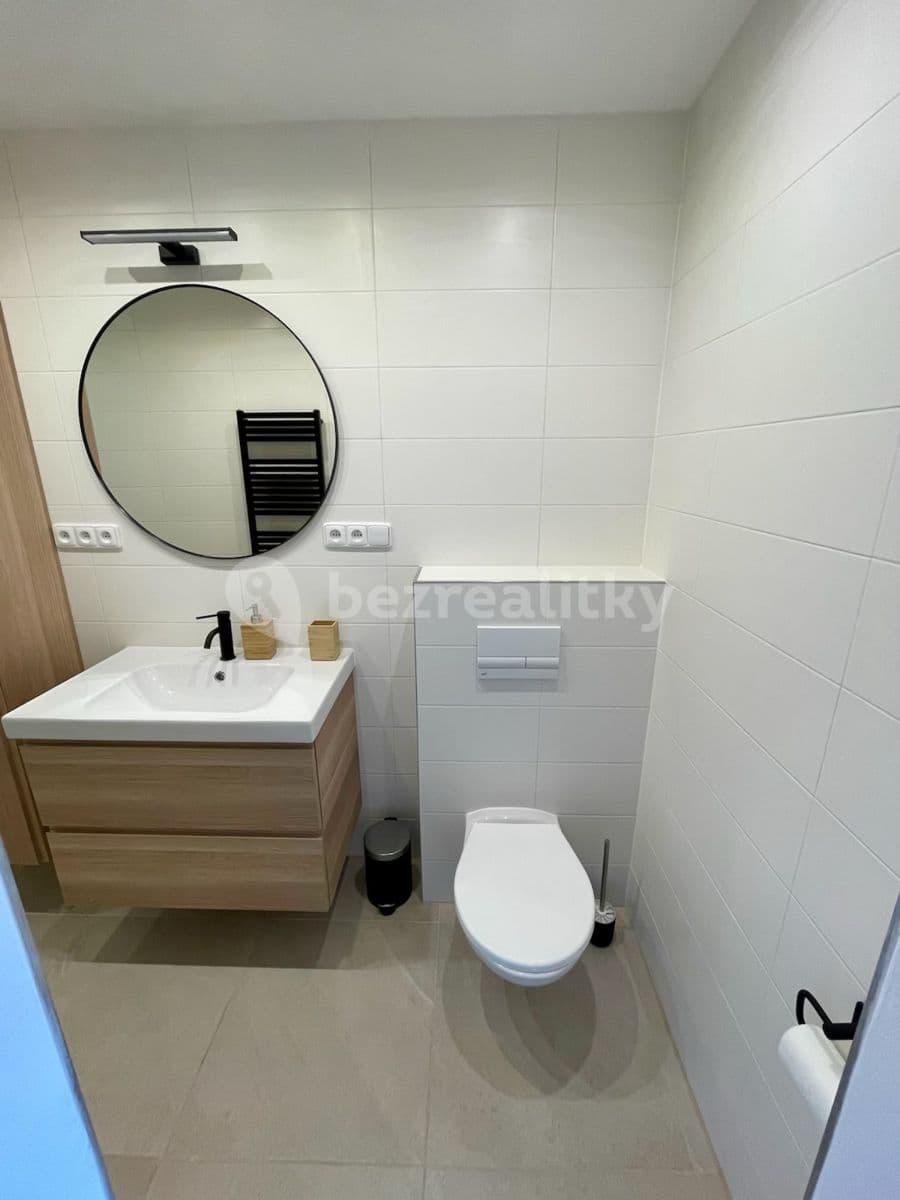 1 bedroom with open-plan kitchen flat to rent, 75 m², Na Výsluní, Králův Dvůr, Středočeský Region 1 bedroom with open-plan kitchen flat to rent, 75 m², Na Výsluní, Králův Dvůr, Středočeský Region