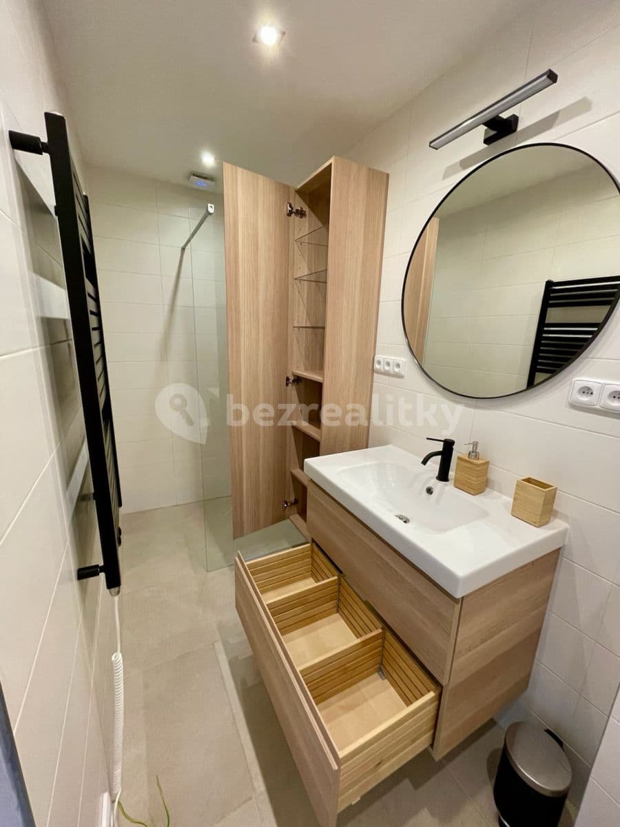 1 bedroom with open-plan kitchen flat to rent, 75 m², Na Výsluní, Králův Dvůr, Středočeský Region 1 bedroom with open-plan kitchen flat to rent, 75 m², Na Výsluní, Králův Dvůr, Středočeský Region