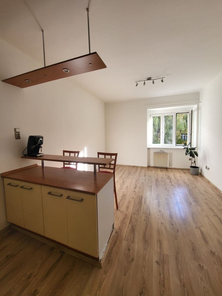 1 bedroom with open-plan kitchen flat to rent, 45 m², Na Výsledku I, Prague, Prague 1 bedroom with open-plan kitchen flat to rent, 45 m², Na Výsledku I, Prague, Prague