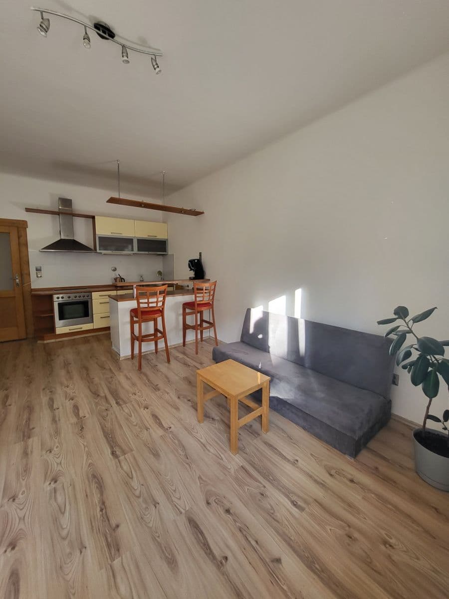 1 bedroom with open-plan kitchen flat to rent, 45 m², Na Výsledku I, Prague, Prague 1 bedroom with open-plan kitchen flat to rent, 45 m², Na Výsledku I, Prague, Prague