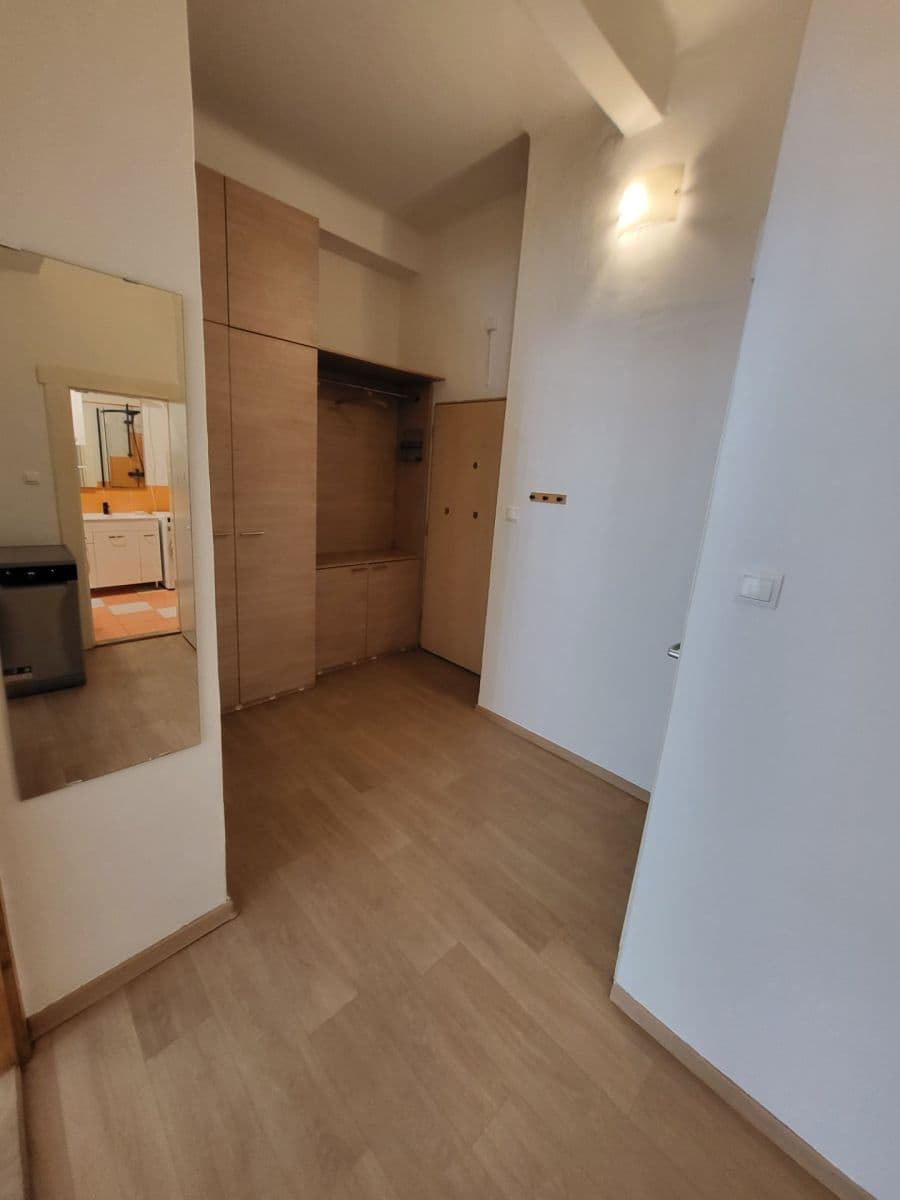 1 bedroom with open-plan kitchen flat to rent, 45 m², Na Výsledku I, Prague, Prague 1 bedroom with open-plan kitchen flat to rent, 45 m², Na Výsledku I, Prague, Prague