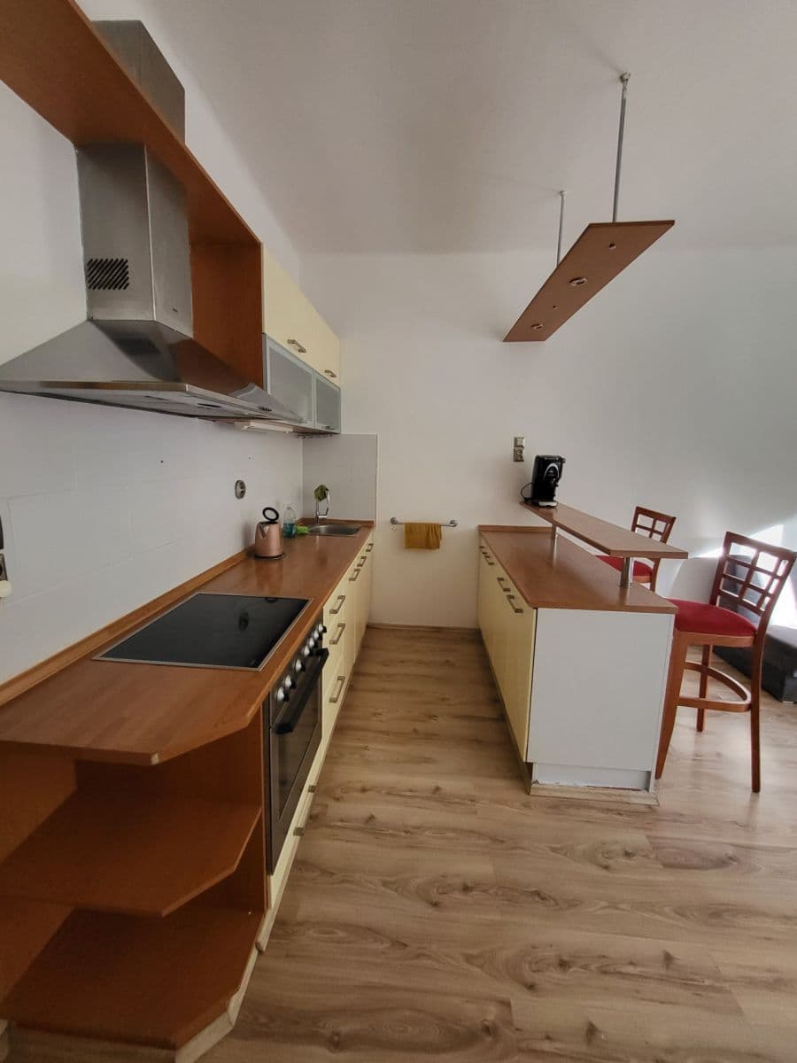 1 bedroom with open-plan kitchen flat to rent, 45 m², Na Výsledku I, Prague, Prague 1 bedroom with open-plan kitchen flat to rent, 45 m², Na Výsledku I, Prague, Prague