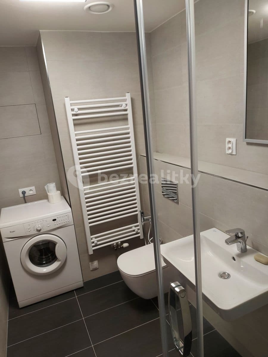 1 bedroom with open-plan kitchen flat to rent, 53 m², Vrátnická, Prague, Prague 1 bedroom with open-plan kitchen flat to rent, 53 m², Vrátnická, Prague, Prague