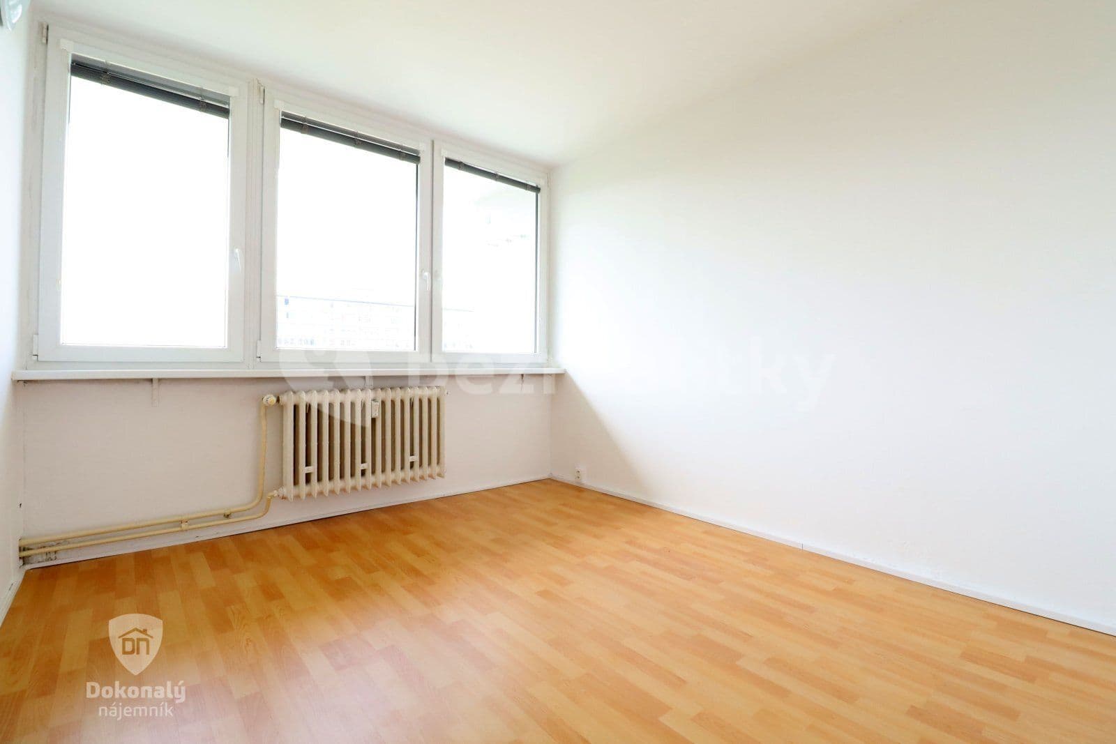 1 bedroom with open-plan kitchen flat to rent, 48 m², Nekvasilova, Prague, Prague