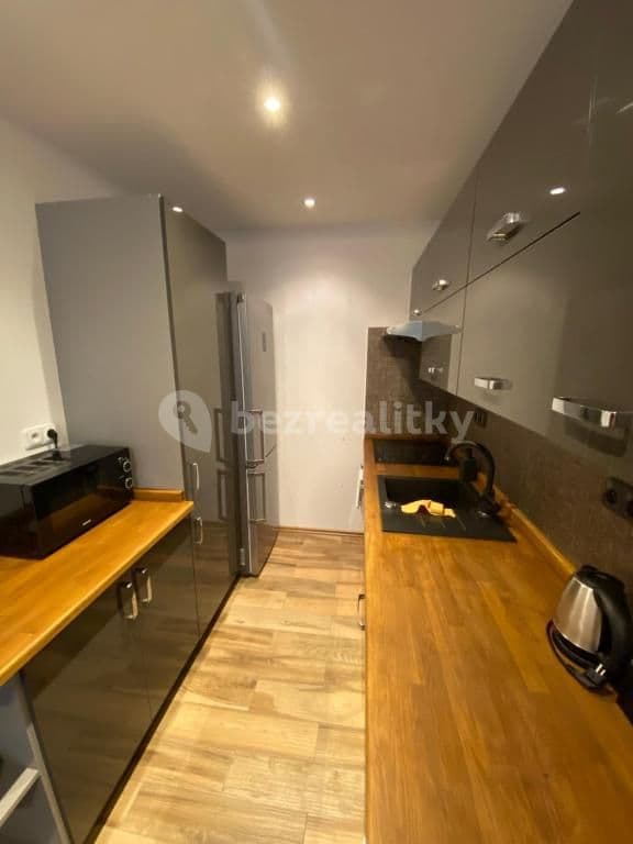 1 bedroom with open-plan kitchen flat to rent, 40 m², K Sádkám, Prague, Prague 1 bedroom with open-plan kitchen flat to rent, 40 m², K Sádkám, Prague, Prague