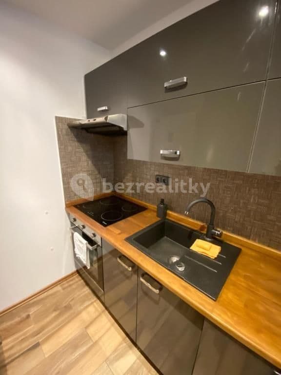 1 bedroom with open-plan kitchen flat to rent, 40 m², K Sádkám, Prague, Prague 1 bedroom with open-plan kitchen flat to rent, 40 m², K Sádkám, Prague, Prague