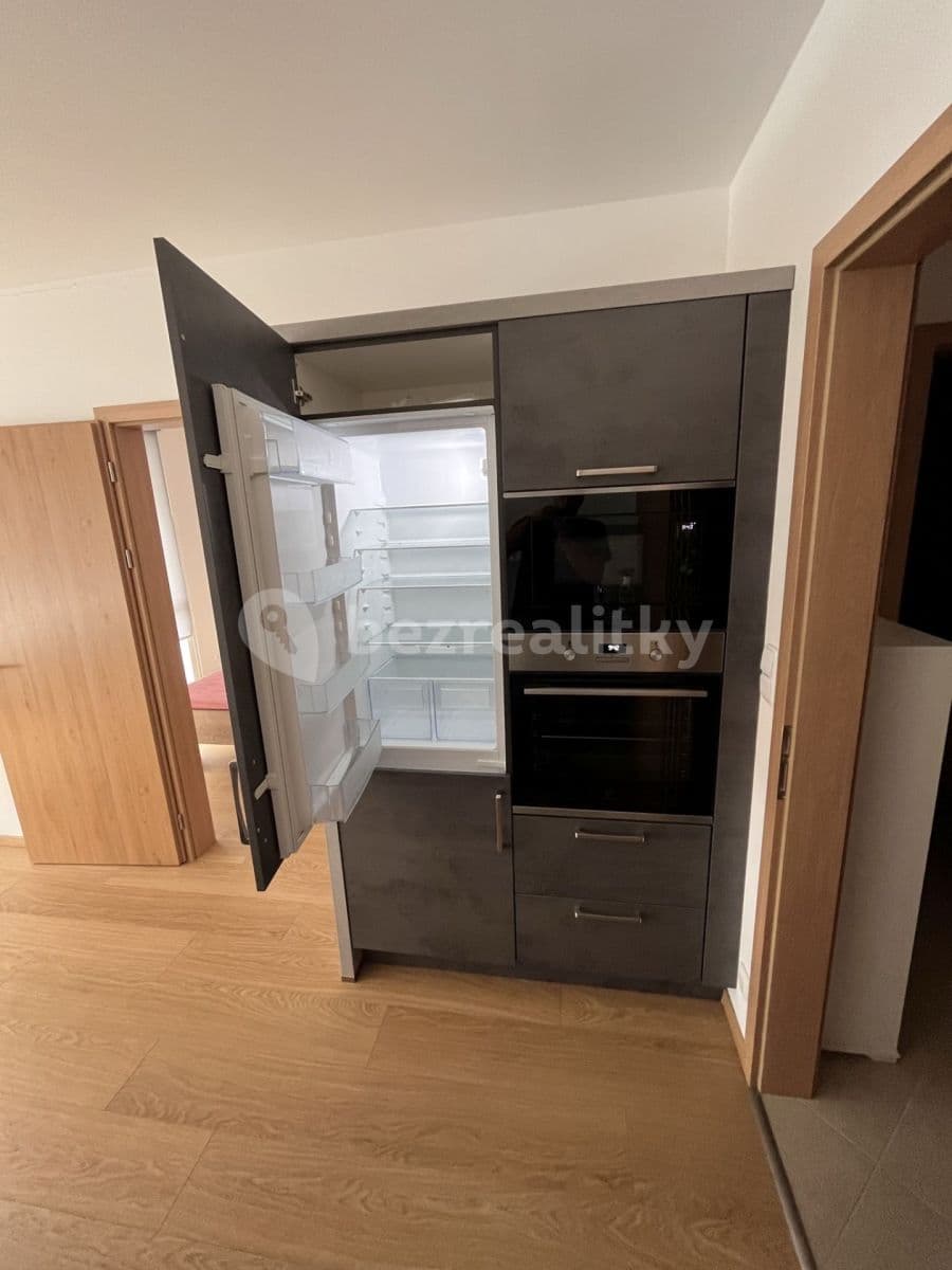 1 bedroom with open-plan kitchen flat to rent, 48 m², Františka Jansy, Prague, Prague 1 bedroom with open-plan kitchen flat to rent, 48 m², Františka Jansy, Prague, Prague