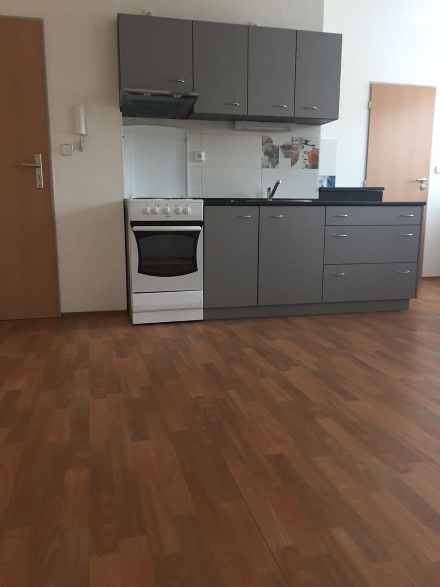 1 bedroom with open-plan kitchen flat to rent, 48 m², Jamborova, Brno, Jihomoravský Region 1 bedroom with open-plan kitchen flat to rent, 48 m², Jamborova, Brno, Jihomoravský Region