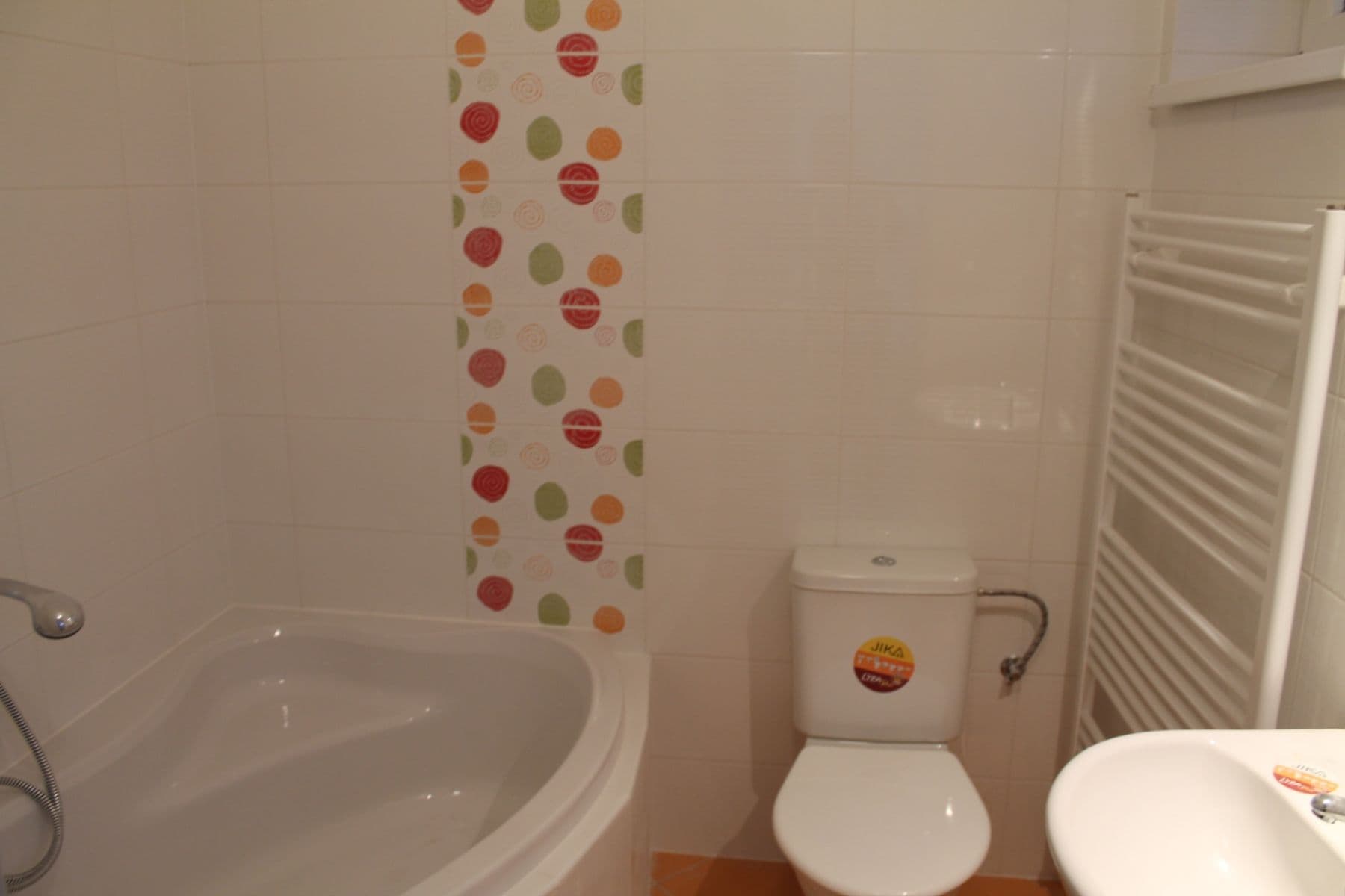 1 bedroom with open-plan kitchen flat to rent, 48 m², Jamborova, Brno, Jihomoravský Region 1 bedroom with open-plan kitchen flat to rent, 48 m², Jamborova, Brno, Jihomoravský Region