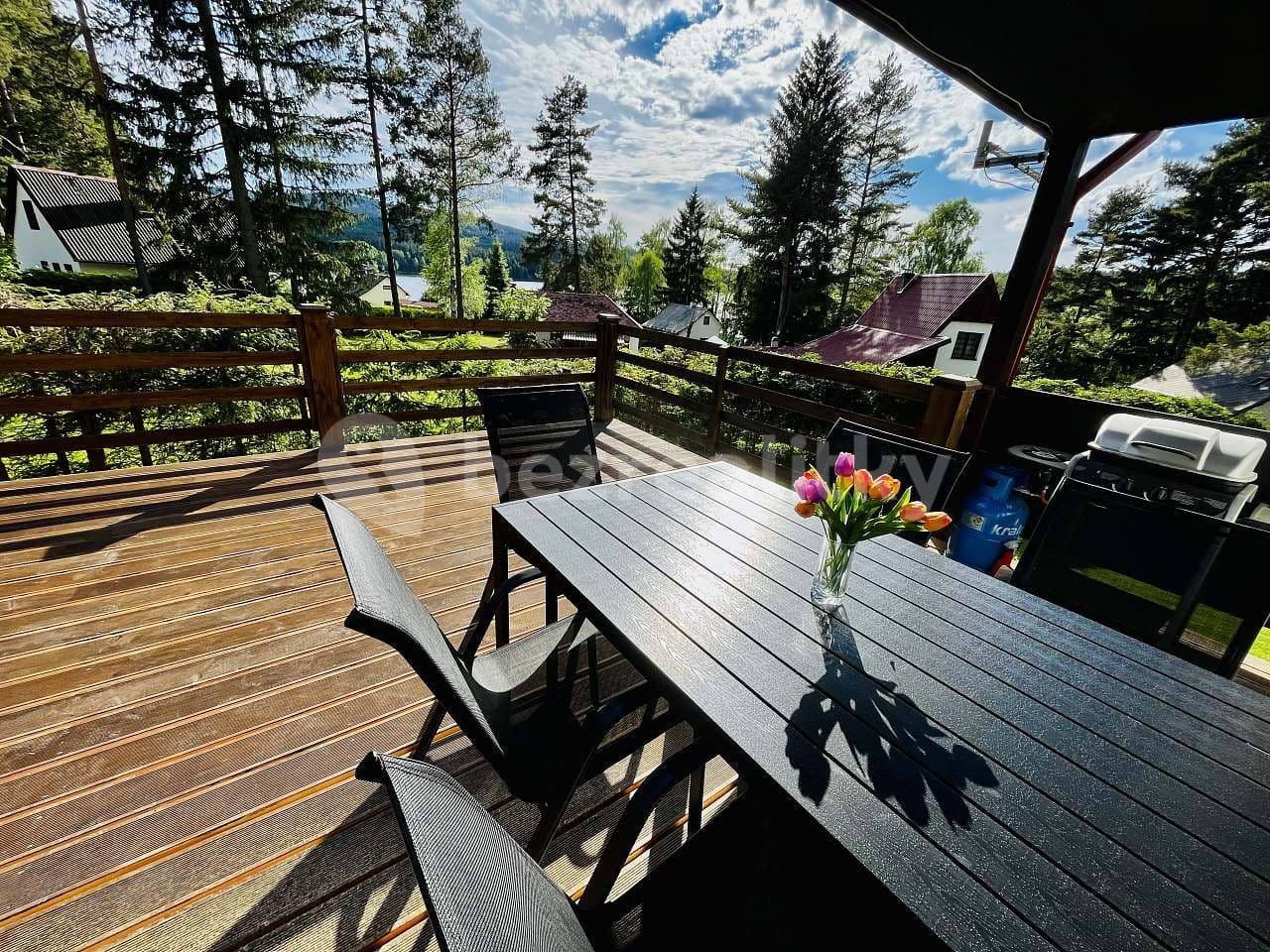 recreational property to rent, 0 m², Frymburk, Jihočeský Region recreational property to rent, 0 m², Frymburk, Jihočeský Region