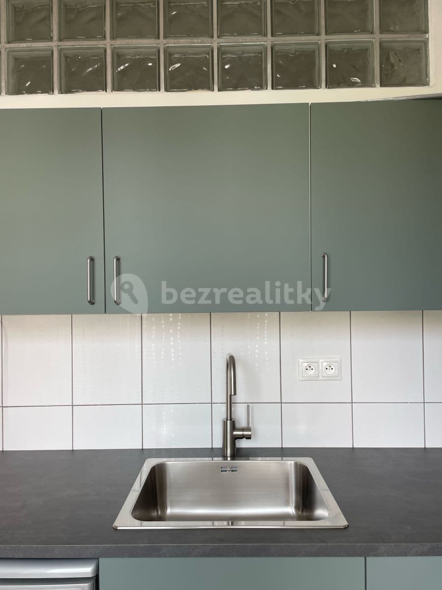 1 bedroom with open-plan kitchen flat to rent, 52 m², Ve Struhách, Prague, Prague 1 bedroom with open-plan kitchen flat to rent, 52 m², Ve Struhách, Prague, Prague
