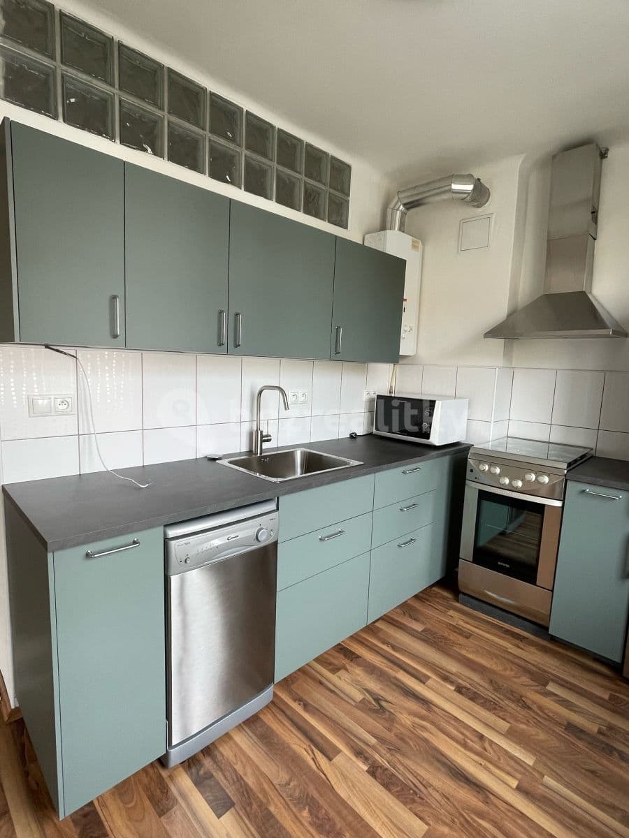 1 bedroom with open-plan kitchen flat to rent, 52 m², Ve Struhách, Prague, Prague 1 bedroom with open-plan kitchen flat to rent, 52 m², Ve Struhách, Prague, Prague