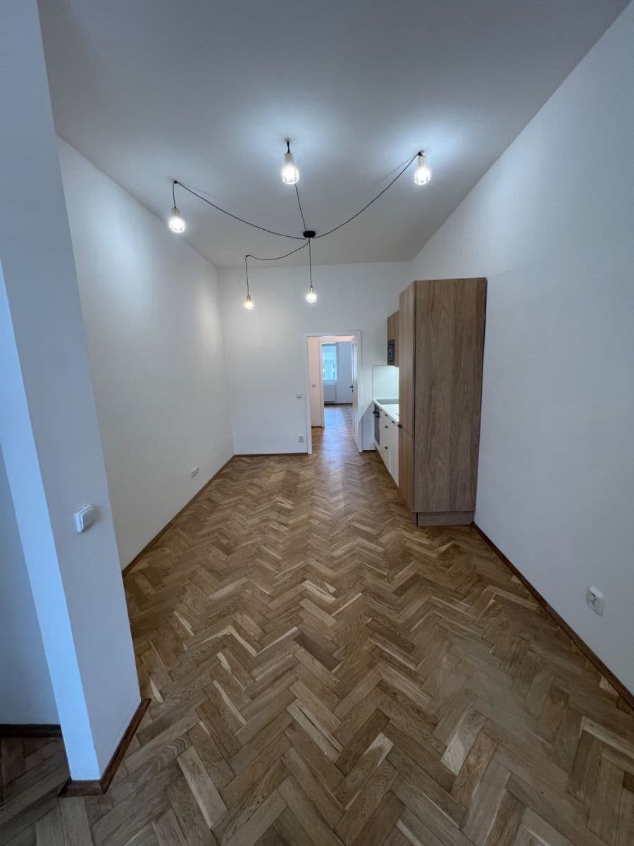 1 bedroom with open-plan kitchen flat to rent, 40 m², Dalimilova, Prague, Prague 1 bedroom with open-plan kitchen flat to rent, 40 m², Dalimilova, Prague, Prague