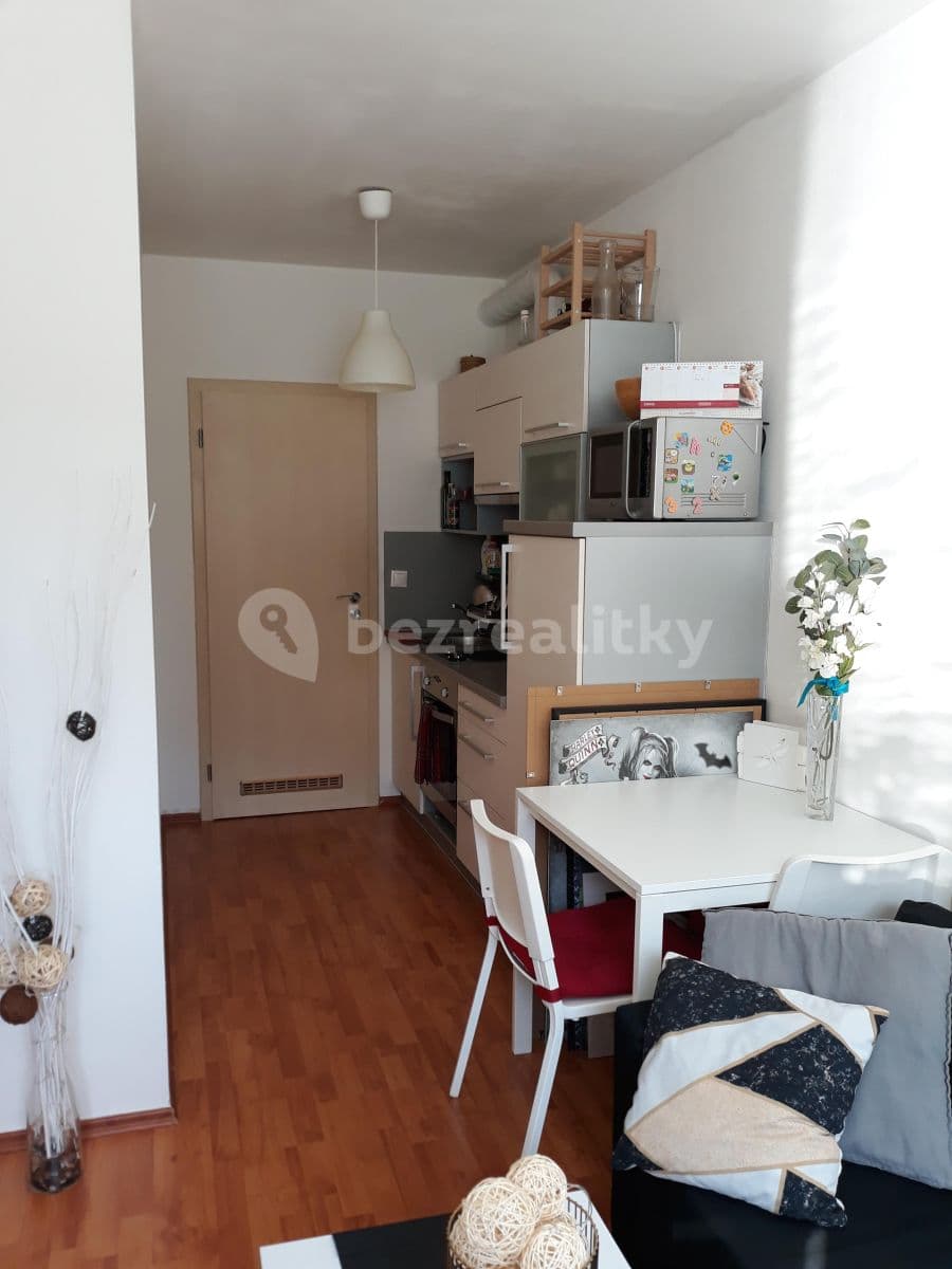 1 bedroom with open-plan kitchen flat to rent, 35 m², Šedova, Prague, Prague 1 bedroom with open-plan kitchen flat to rent, 35 m², Šedova, Prague, Prague