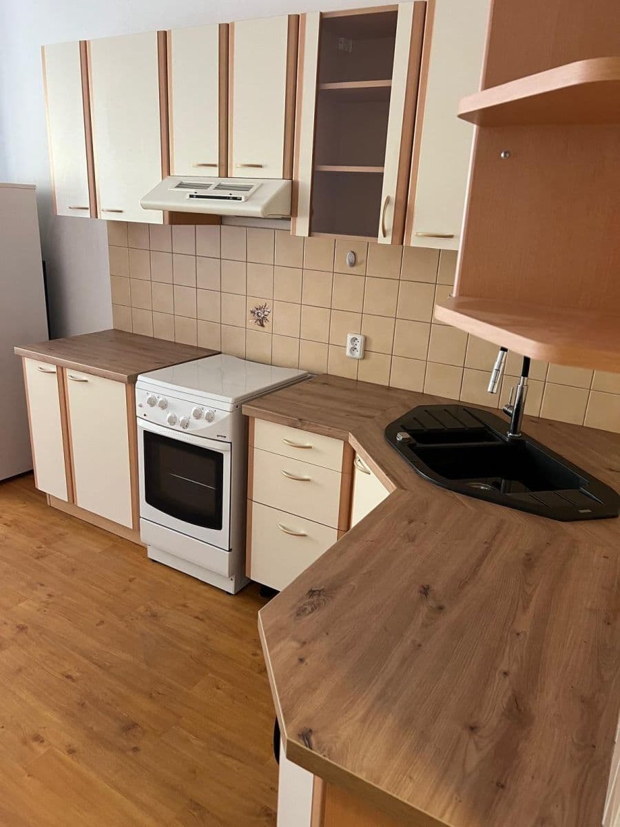 1 bedroom with open-plan kitchen flat to rent, 52 m², Petra Slezáka, Prague, Prague 1 bedroom with open-plan kitchen flat to rent, 52 m², Petra Slezáka, Prague, Prague