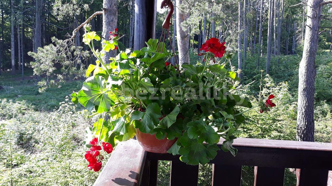 recreational property to rent, 0 m², Smrčná, Vysočina Region recreational property to rent, 0 m², Smrčná, Vysočina Region