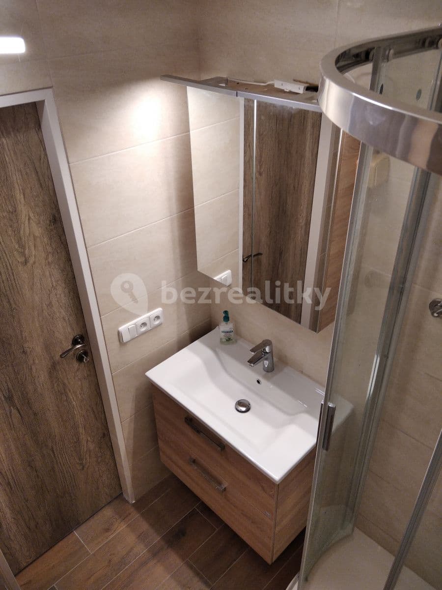 1 bedroom with open-plan kitchen flat to rent, 46 m², Ukrajinská, Brno, Jihomoravský Region 1 bedroom with open-plan kitchen flat to rent, 46 m², Ukrajinská, Brno, Jihomoravský Region