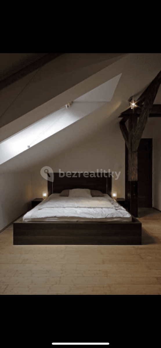 1 bedroom with open-plan kitchen flat to rent, 60 m², Cimburkova, Prague, Prague 1 bedroom with open-plan kitchen flat to rent, 60 m², Cimburkova, Prague, Prague