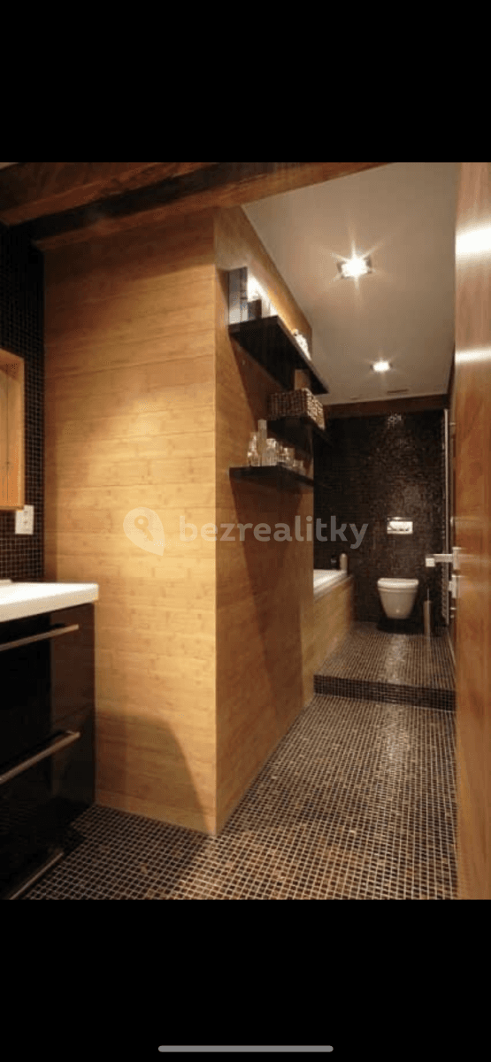 1 bedroom with open-plan kitchen flat to rent, 60 m², Cimburkova, Prague, Prague 1 bedroom with open-plan kitchen flat to rent, 60 m², Cimburkova, Prague, Prague