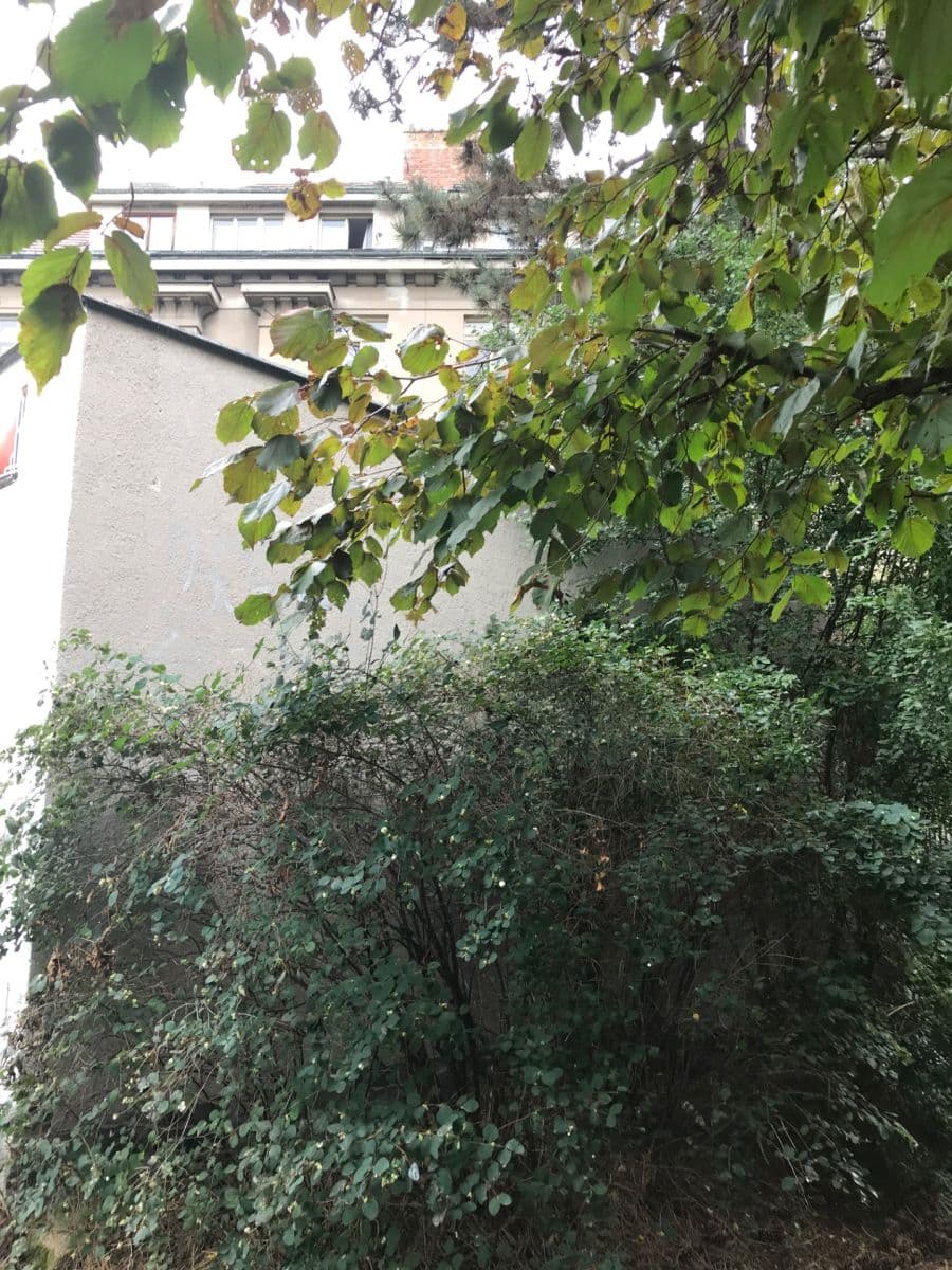 non-residential property for sale, 27 m², Pod Pekařkou, Prague, Prague non-residential property for sale, 27 m², Pod Pekařkou, Prague, Prague