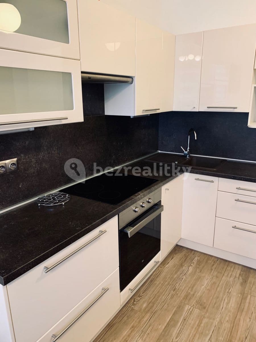 1 bedroom with open-plan kitchen flat to rent, 55 m², Pod Harfou, Prague, Prague 1 bedroom with open-plan kitchen flat to rent, 55 m², Pod Harfou, Prague, Prague